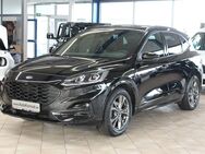 Ford Kuga, 2.0 EcoBlue MHEV ST-LINE X, Jahr 2021 - Neustadt (Aisch)