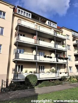 Mein neues Zuhause im Garten-Ensemble von Seibnitz! - Dresden