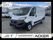 Fiat Ducato, 33 140 Multijet L1 Techno City-P, Jahr 2023 - Bad Berleburg