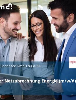 Mitarbeiter Netzabrechnung Energie (m/w/d) - Tettnang