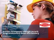 Business Development Manager (m/w/d) Batterieladetechnik Baden-Württemberg - Mannheim