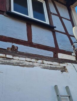 Bauernhaus mit einem weiteren Haus in Bad Langensalza - Bad Langensalza