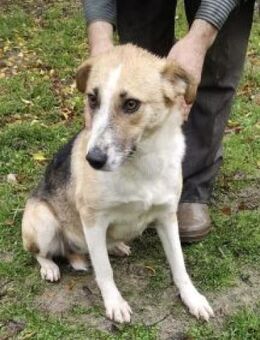 Lissy 50 cm - Alpenrod