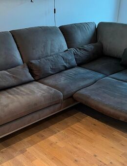 Couch von Ewald Schillig top top - Münster (Hessen)