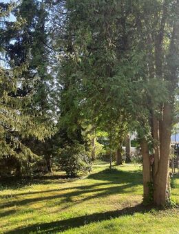 1-Zimmer-Apartment in ruhiger Lage im Fasangarten - München