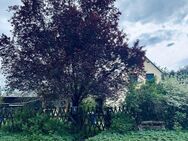 Freistehendes Einfamilienhaus im Grünen mit großer Scheune, Stallgebäude und Garten - Bad Freienwalde (Oder) Hohensaaten
