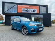 BMW X4 *Harman/Kardon*360°Kamera*8xAlu*DAB*HUD* - Oberteuringen