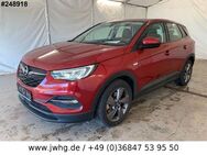 Opel Grandland X Hybrid LED Navi DAB AHK 18" Leder - Steinbach-Hallenberg