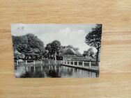 Ansichtskarte-AK-661-Nieblum auf Föhr. - Nörvenich