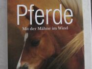 Lingen Buch Pferde Mit der Mähne im Wind - Norderstedt