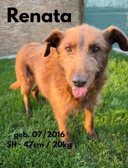 Renata - unsere flotte Seniorin - Rinteln