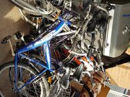 Viele Fahrräder günstig zu verkaufen, einzeln oder alles zusammen - Duderstadt