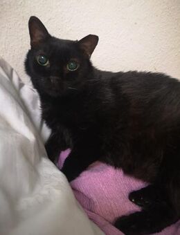 Blinde Yazz - ganz liebe Maus - Bochum