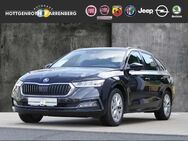 Skoda Octavia 1.0 TSI Style NAVI KLIMA LED SHZ PDC - Altenkirchen (Westerwald)