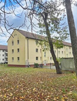gepflegte Wohnanlage - 2 MFH - kernsaniert - 7,56 % SOLL-Rendite - Dessau-Roßlau