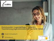 Kommunale/r Jugendpflege/r (m/w/d) / Teamleitung Jugendsozialarbeit (m/w/d) Teilzeit - Schwabach