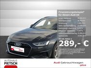 Audi A4, Avant 35 TDI, Jahr 2021 - Melle