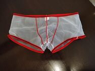 Club Gaywear,Boxer,Gr.L,neu - Hamburg