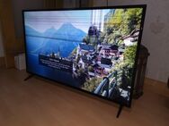 LG 55 Zoll UHD 4K TV Fernseher 55UK6200PLA Displayschaden Defekt - Gelsenkirchen