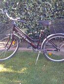 Damen / Jugendfahrrad Körbe vorne und hinten in 59425