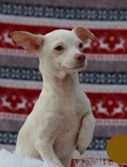 439264 - so viel Neus darf ich lernen - Overath