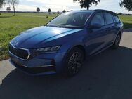 Skoda Octavia, 2.0 TDI Kombi Selection GV5 el Hk, Jahr 2024 - Achern