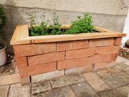 Bausatz günstiges Hochbeet Gartenbeet Kräuterbeet Pflanzkübel original alte Mauersteine Ziegelsteine DIY - Salzatal