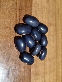 Blaue Meerbarbe/ Stangenbohne (Phaseolus vulgaris var. vulgaris) - Horgenzell