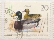 DDR-Briefmarken Tiere (1)  [382] - Hamburg