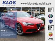 Alfa Romeo Stelvio, 2.0 TI TURBO 16V 280 AT8 Q4 ASSISTENZ, Jahr 2022 - Marpingen