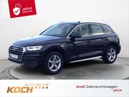 Audi Q5, 40 TDI q, Jahr 2019 - Insingen