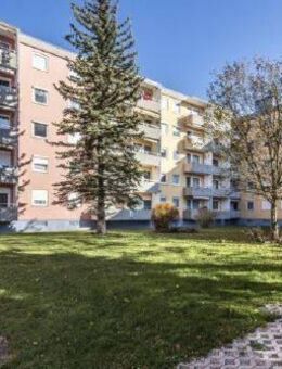 Frisch saniert: Gemütliche 3-Zimmer-Wohnung mit Balkon in Karlsfeld - Karlsfeld