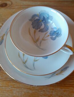 Sammeltassen - Hettstedt