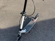 Tretroller, Big Wheel-Scooter mit Handbremse, neu - Stuttgart