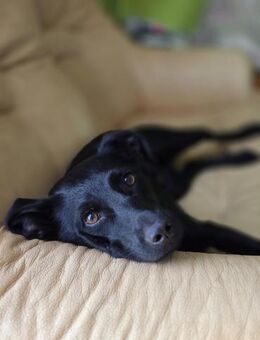 Tilda❤️ - Kissing