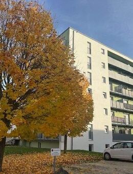 Möbliertes 1 Zi. Apartment mit Terrasse im Neu-Ulmer Wiley zu verkaufen - Neu Ulm