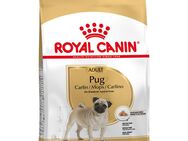 Sparpaket Royal Canin - Pug Adult (2 x 3 kg)