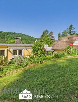 Schönes Einfamilienhaus in ruhiger Lage! - Bollendorf