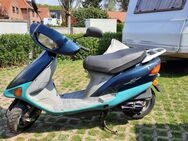 Roller / Moped 50ccm - 50 km/h Honda Bali zu mieten / leihen !!! - Ebstorf (Klosterflecken)