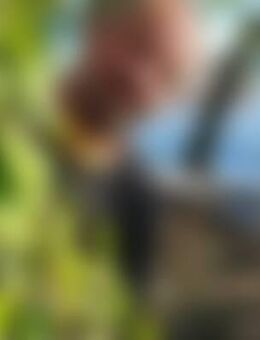 All*** - Kempten (Allgäu)