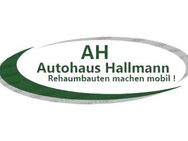 Autohaus Hallmann Handicap- & Rehafahrzeugcenter - Simbach (Inn)