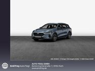 Ford Focus, 1.0 EcoBoost Hybrid ST-LINE X, Jahr 2023 - Roth (Bayern)