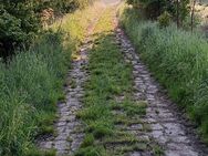 Garten in Biebelnheim gesucht. - Alzey