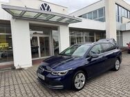 VW Golf Variant, 2.0 TSI Golf 8 Style, Jahr 2023 - Pasewalk