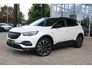 Opel Grandland X 1.6 Turbo Hybrid ULTIMATE *LED*PDC - Plauen