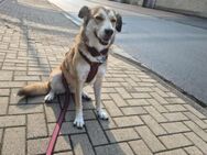 Helga sucht ihre Menschen - München