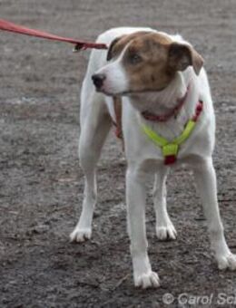 Elli hat ihre eigene Persönlichkeit - Egelsbach