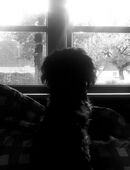 Rauhaardackel - Rüde (2J ) unkastriert abzugeben in 30989