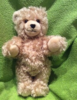 Teddybär mit Kippstimme - Gladbeck