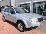 Subaru Forester Active/AHK/Sitzhz - Halle (Saale)